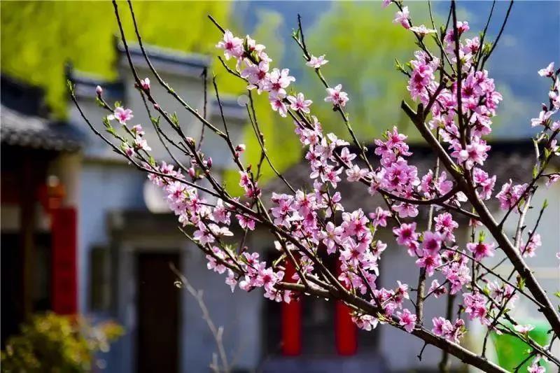 beat·365(中国)唯一官方网站