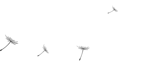 beat·365(中国)唯一官方网站