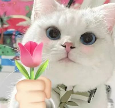 beat·365(中国)唯一官方网站